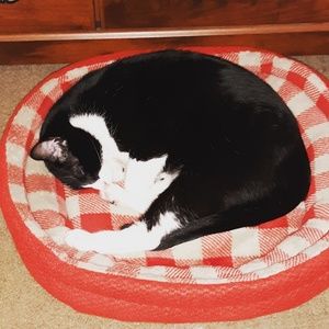 Meet your Posher, Tricia